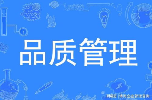 质量管理咨询与社会经济咨询服务的主要内容解析